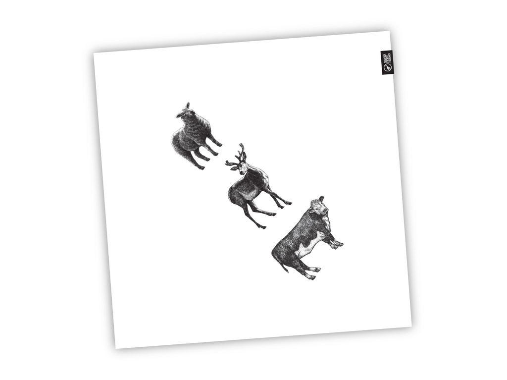 Silver Fern Farms Napkins